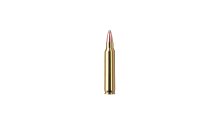 RWS Jagdpatrone .223 Remington TMS 3.6g