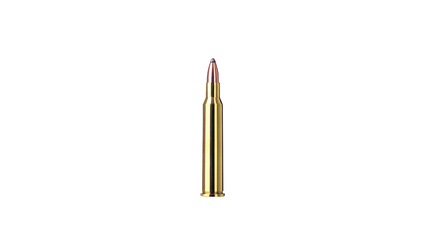 RWS Jagdpatrone 5.6x50R Mag TMS 4.1g