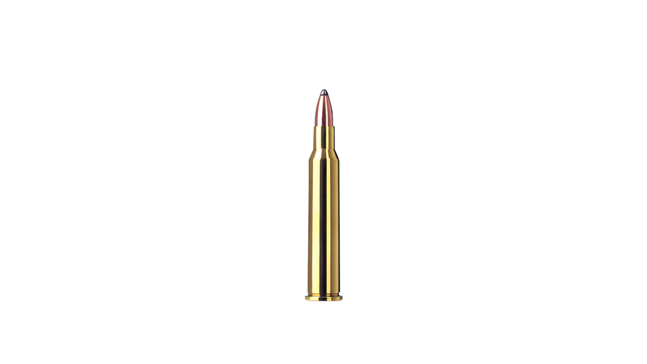 RWS Jagdpatrone 5.6x50R Mag TMS 4.1g