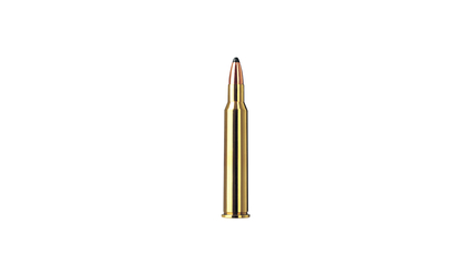 RWS Jagdpatrone 5.6x50R Mag TMS 3.24g