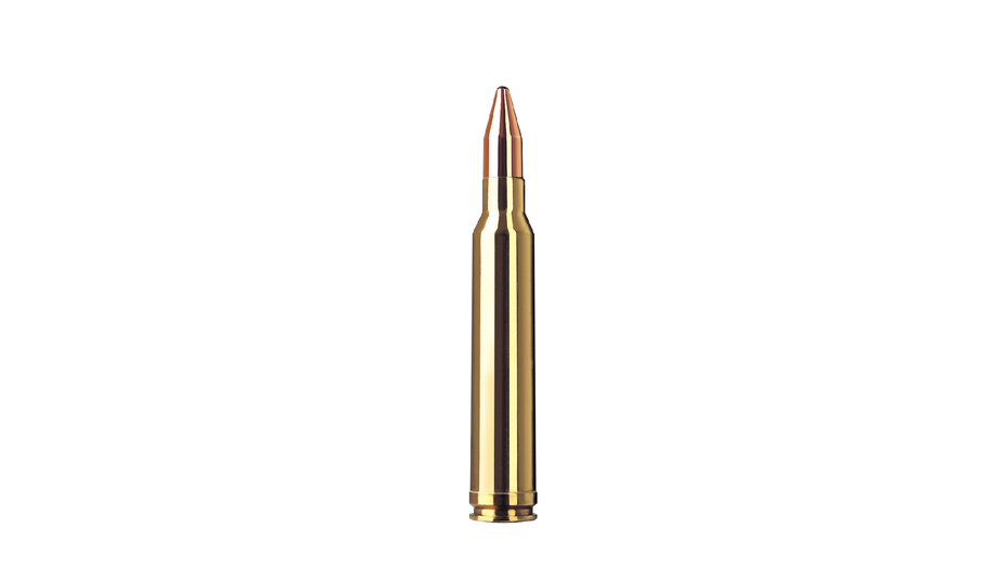 RWS Jagdpatrone .300 Win Mag KS 10.7g