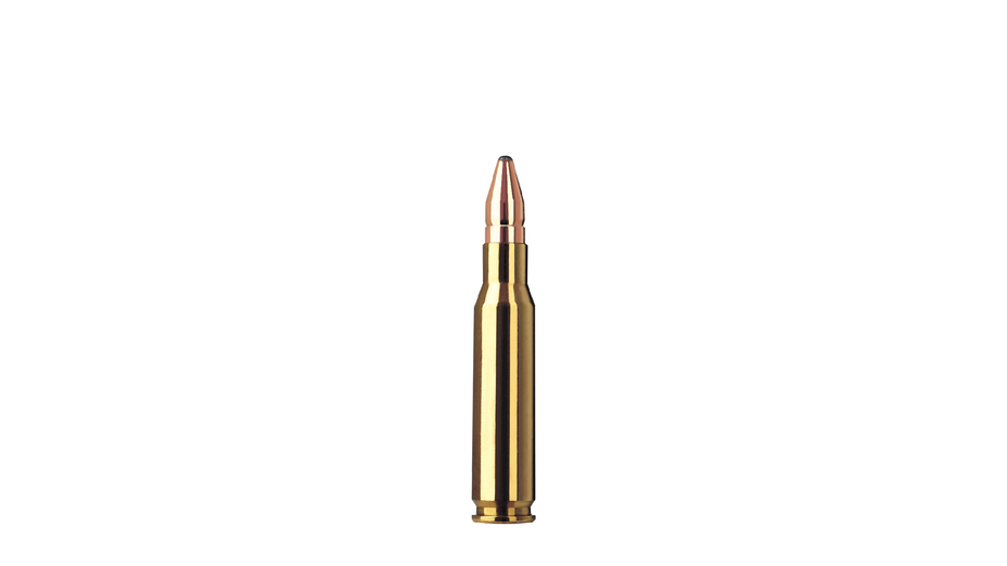 RWS Jagdpatrone .308 Win DK 10.7g