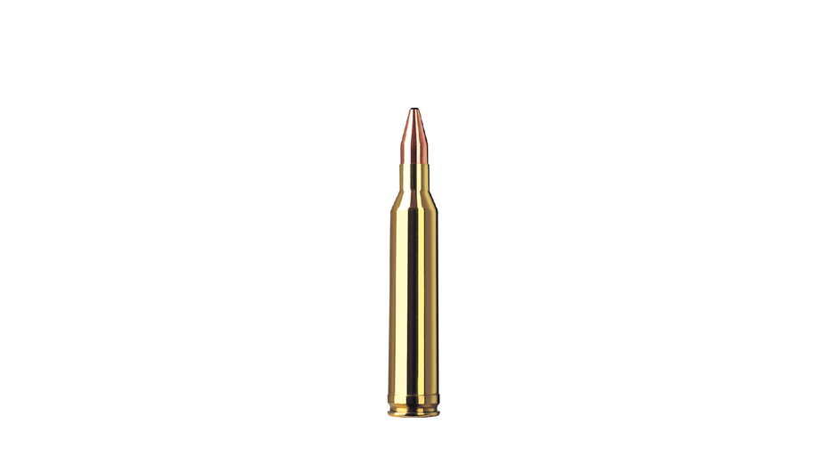 RWS Jagdpatrone 7mm Rem Mag KS 10.5g