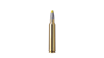 RWS Jagdpatrone .300 Win Mag Evolution 11.9g