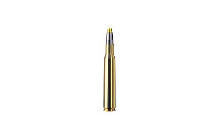 RWS Jagdpatrone .270 Winchester Evolution 10g