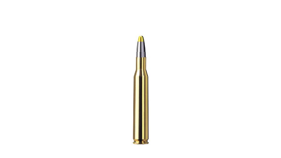 RWS Jagdpatrone .270 Winchester Evolution 10g