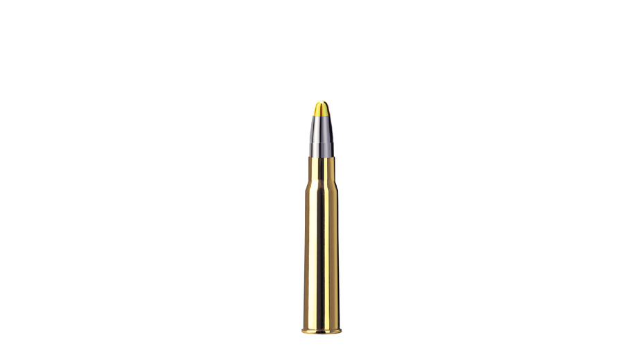 RWS Jagdpatrone 8x57IRS Evolution 13.0g