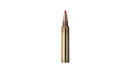 GECO Jagdpatrone .300 Win Mag Express 10.7g