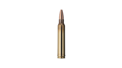 GECO Jagdpatrone .300 Win Mag Plus 11g