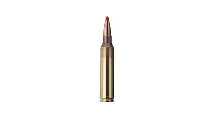 GECO Jagdpatrone Geco Express 7mm Rem Mag 10g