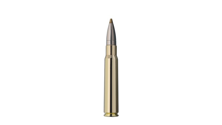 RWS Jagdpatrone 8x57 IS EVO Green 9.0g