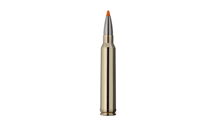 RWS Jagdpatrone .300 Win Mag HIT 10.7g