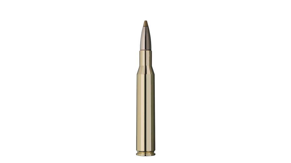 RWS Jagdpatrone .270 Winchester Evo Green 6.2g