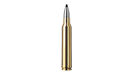 RWS Jagdpatrone .300 Win Mag Speed Tip Pro 10.7g