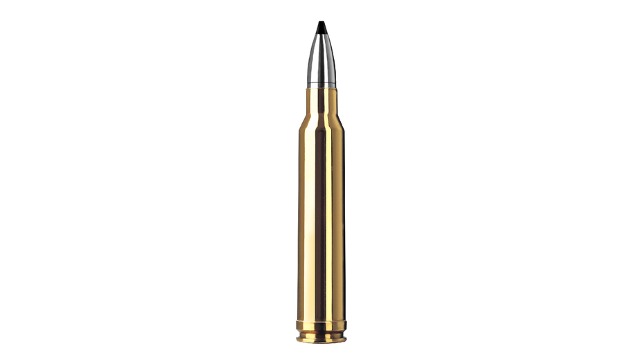 RWS Jagdpatrone .300 Win Mag Speed Tip Pro 10.7g