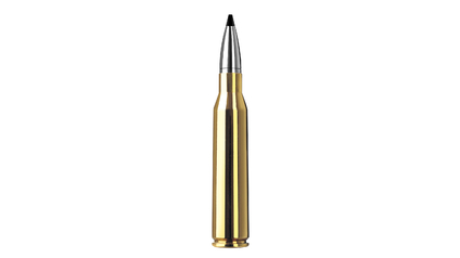 RWS Jagdpatrone .338 Lapua Mag Speed Tip Pro 16.2g / 250grs