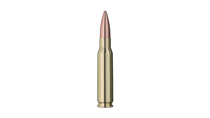 RWS Jagdpatrone .308 WIN-Target Elite Plus 10.9g/168gr - Match