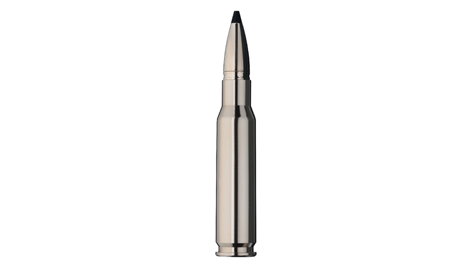 RWS Jagdpatrone .308 Winchester SR Speed Tip P Speed TIP Pro