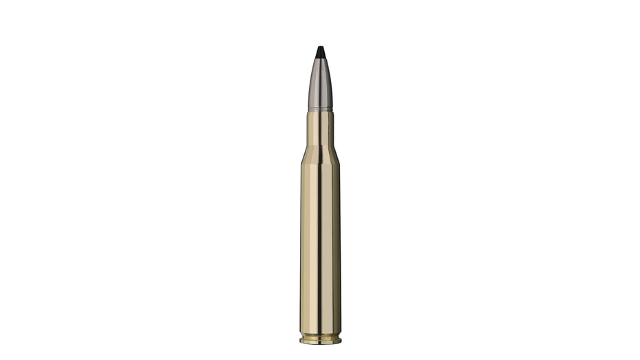 RWS Jagdpatrone .270 Winchester Speed Tip Pro 9.1g