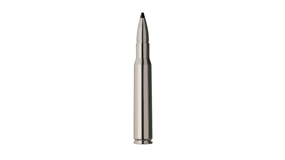 RWS Jagdpatrone RWS Short Rifle Speed Tip Pro 30-06 - 10.7g