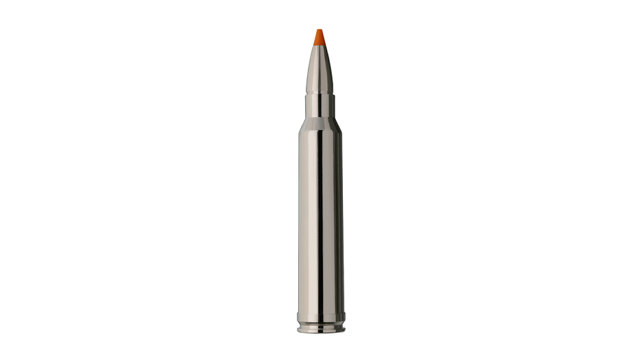 RWS Jagdpatrone RWS Short Rifle HIT 8x57 IS 10.4g