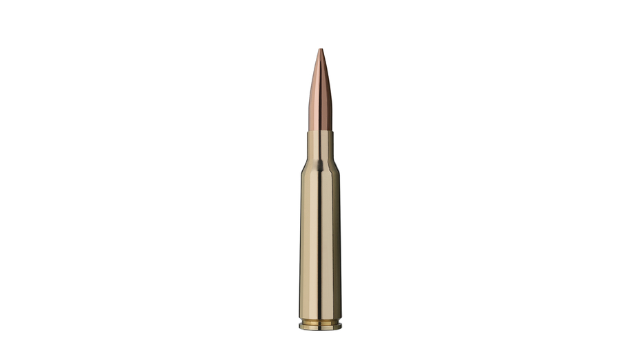 RWS Jagdpatrone 6.5x55 Target Elite Plus 8.4g