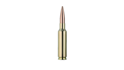 RWS Jagdpatrone 6.5 Creedmoor Target ElitePlus 8.4g