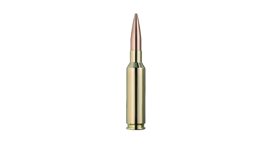 RWS Jagdpatrone 6.5 Creedmoor Target ElitePlus 8.4g