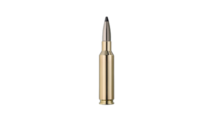 RWS Jagdpatrone 6.5 Creedmoor Speed Tip Pro 9.1g