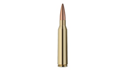 RWS Jagdpatrone 338 LM-Target Elite Plus 250gr - Match