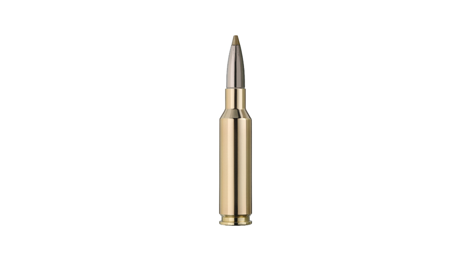 RWS Jagdpatrone 6.5 Creedmoor EVO Green 6.0g