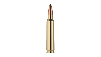 .223 REM TARG ELIT PLUS 4.5G/69GR