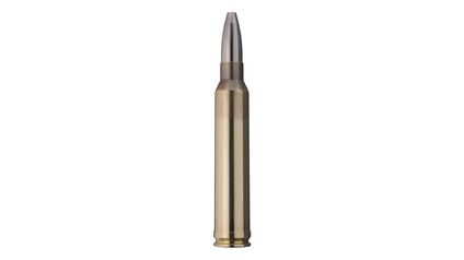 RWS .300 WIN MAG CINESHOT 9,5G/147GR